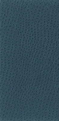 nuostrich50-kravet-basics-nuostrich-5