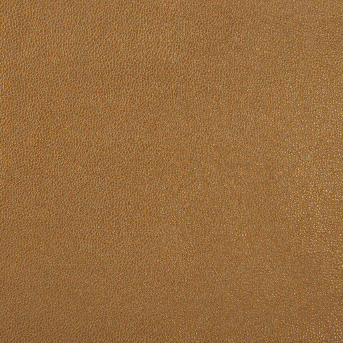 sparta40-kravet-design-sparta-4-kravet-design