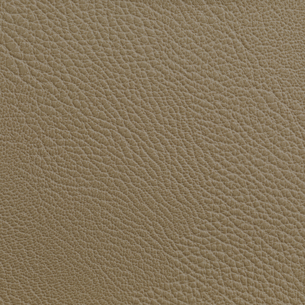 rustler160-rustler-cashew-kravet-contract