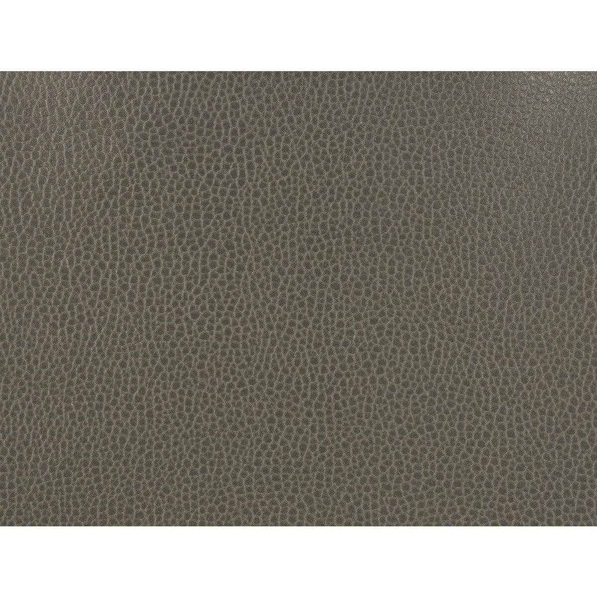 gillian210-kravet-design-gillian-21-kravet-design