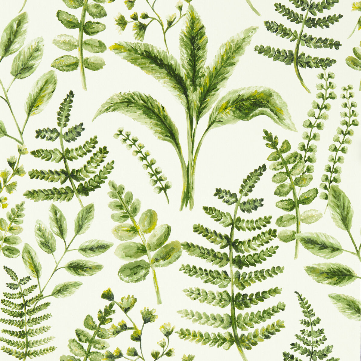 w015602cac0-bracken-forest-wp-clarke-and-clarke