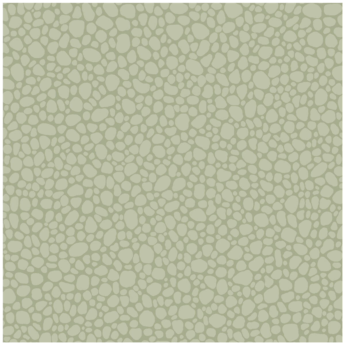 1062027cs0-pebble-sage-cole-son
