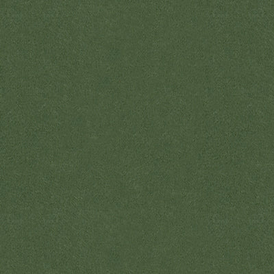 br-897784560-autun-mohair-velvet-bayleaf-brunschwig-fils