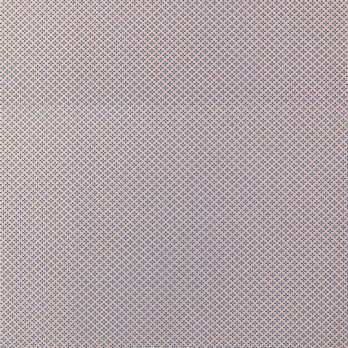 lct11450010-prodigiosa-rosaazul-gaston-y-daniela