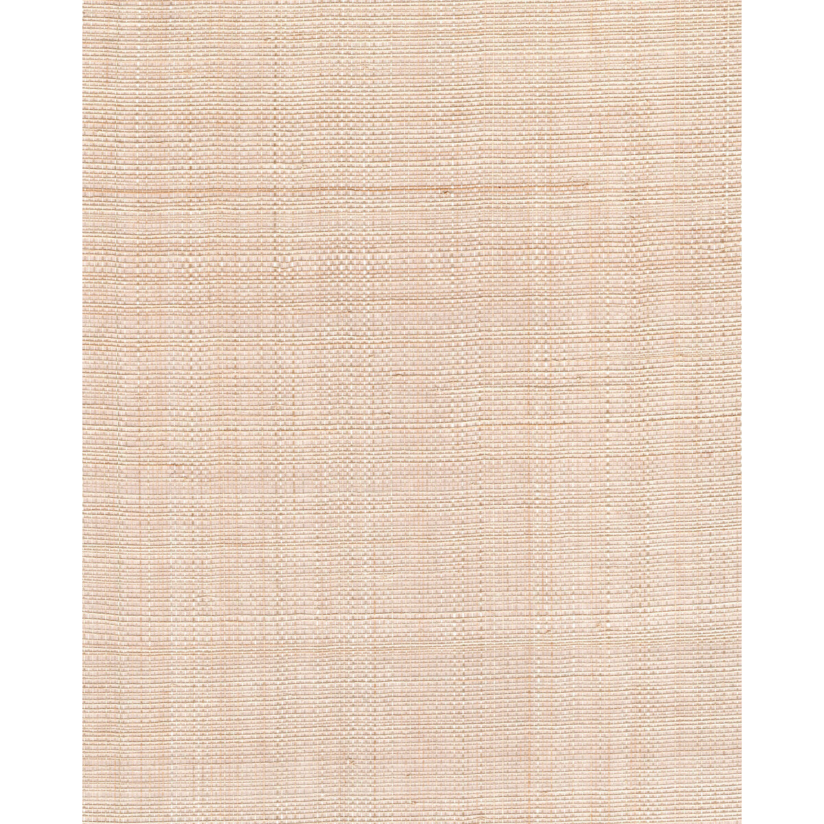 wnr2077wt0-sarashi-weave-cream-winfield-thybony - WINFIELD THYBONY Wallpaper