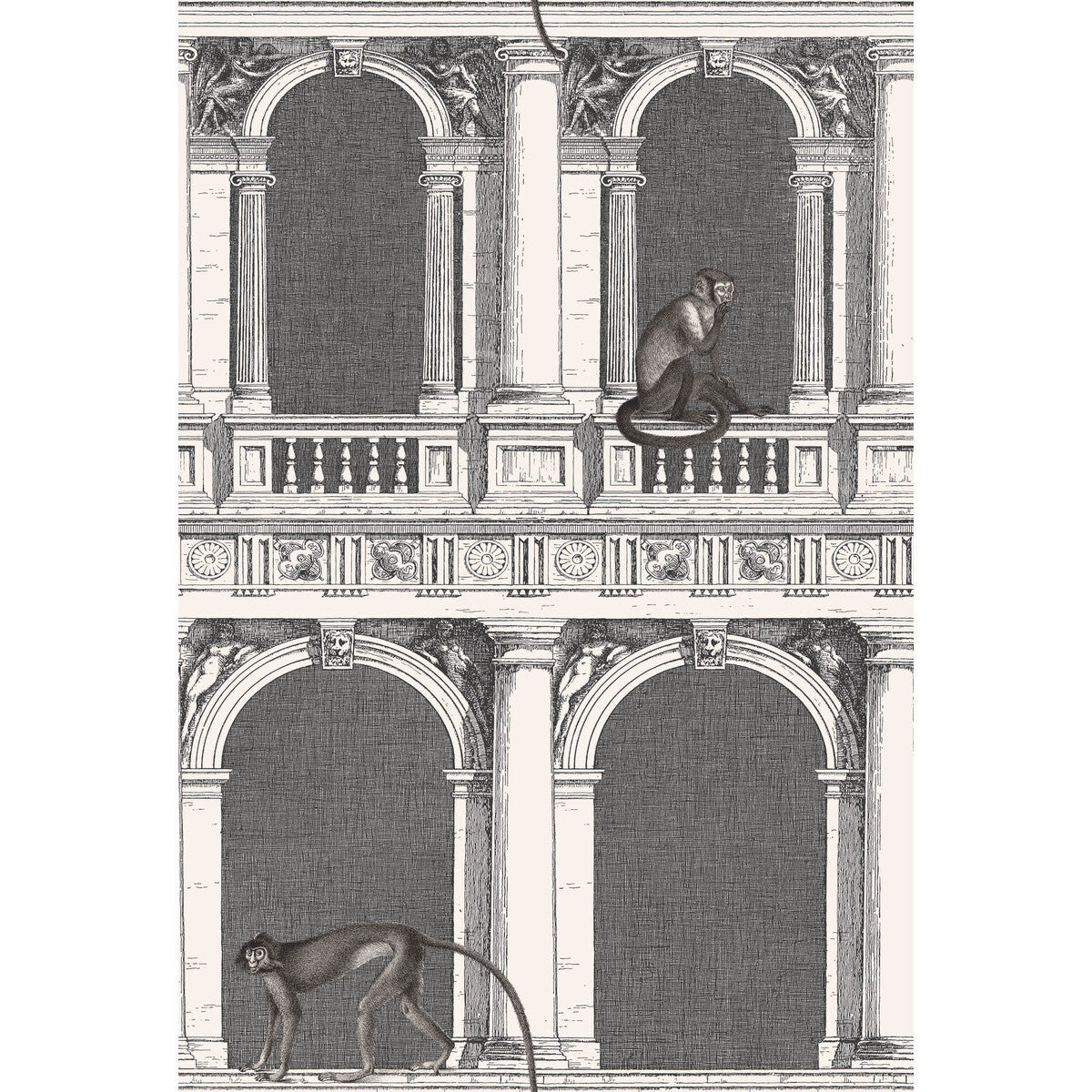 11421041cs0-procuratie-e-scimmie-bw-cole-son - COLE & SON Wallpaper