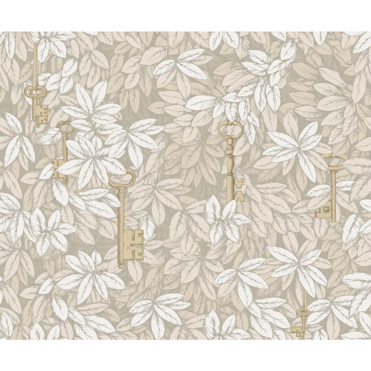 11426052cs0-chiavi-segrete-parchment-cole-son