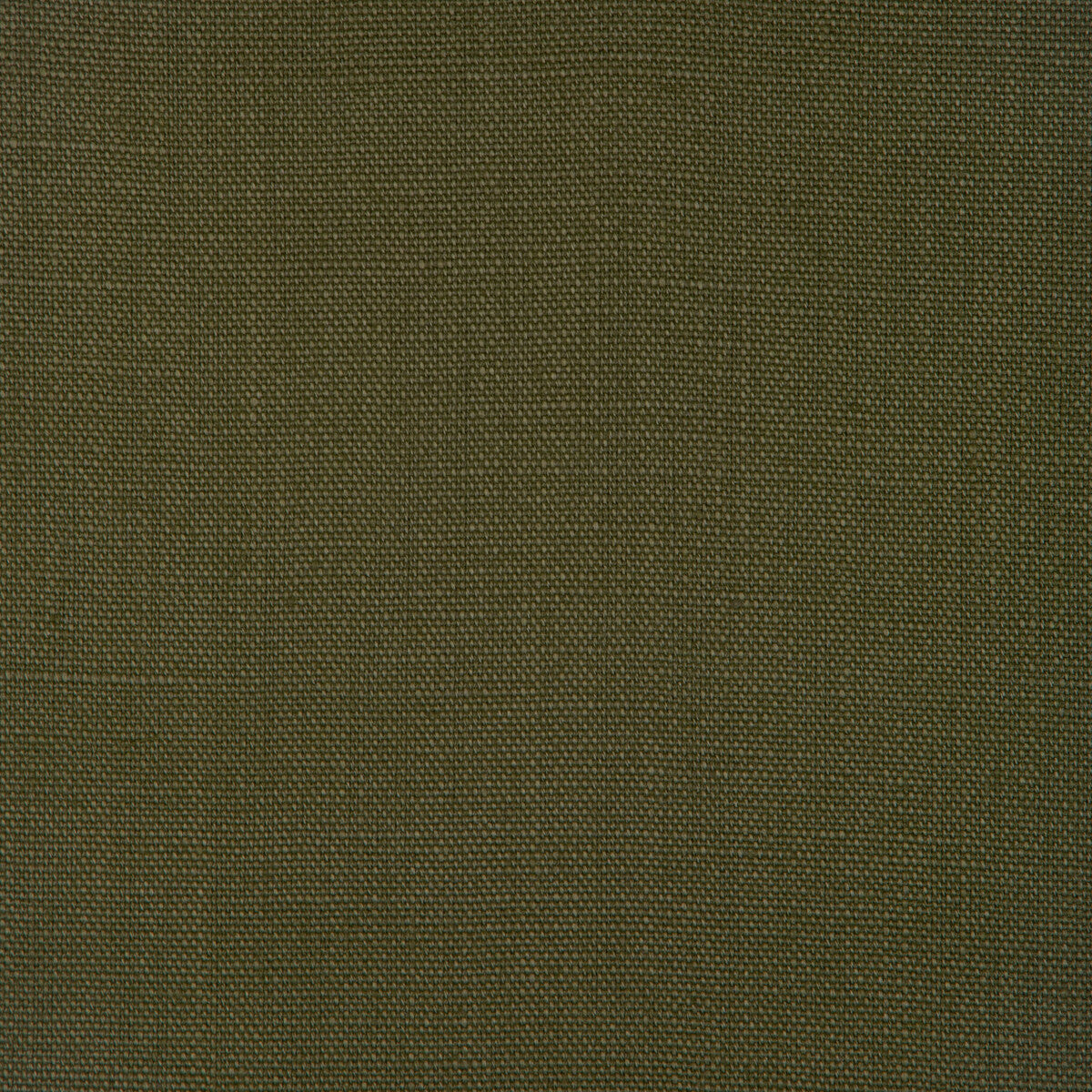 2759133030-stone-harbor-jungle-kravet-basics - KRAVET BASICS Fabric