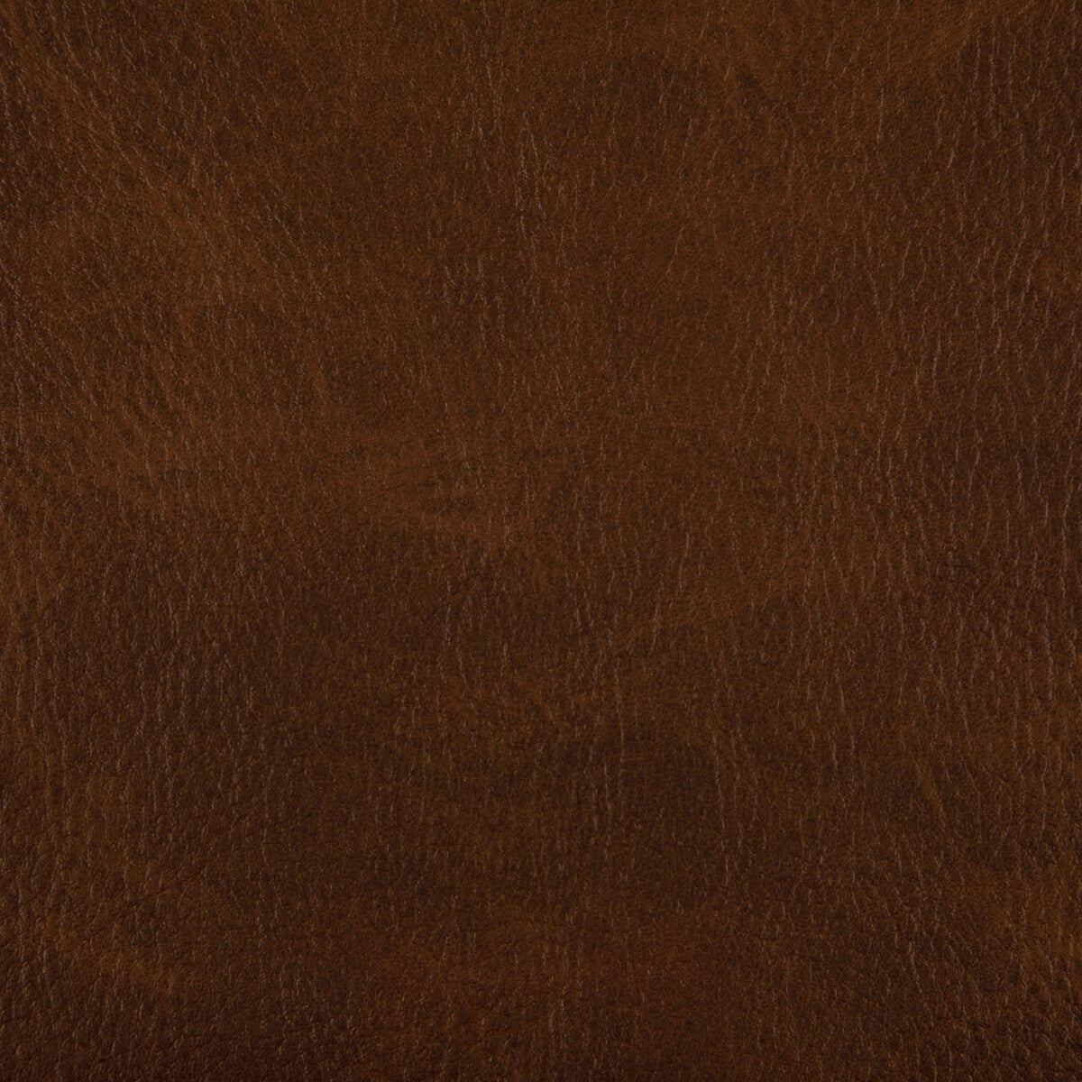 toni6060-toni-whisky-kravet-contract - KRAVET CONTRACT Fabric