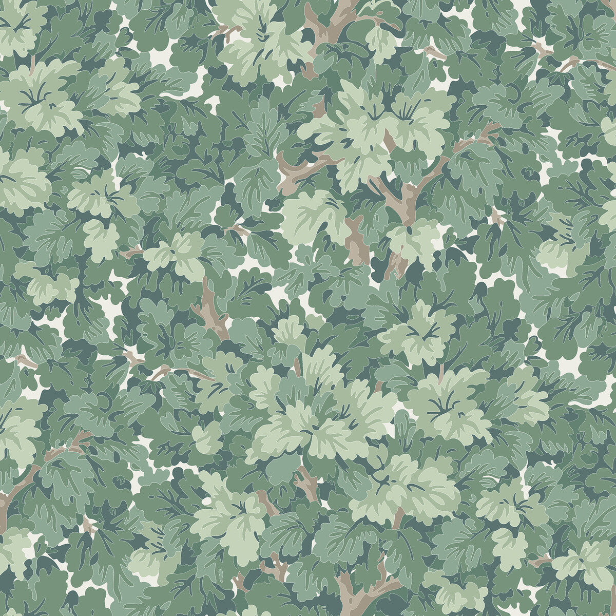 wdr2001wt0-walden-forest-winfield-thybony - WINFIELD THYBONY Wallpaper