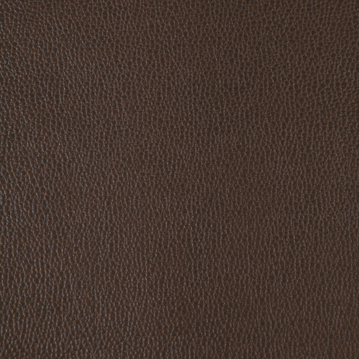 sparta66660-kravet-design-sparta-6666-kravet-design