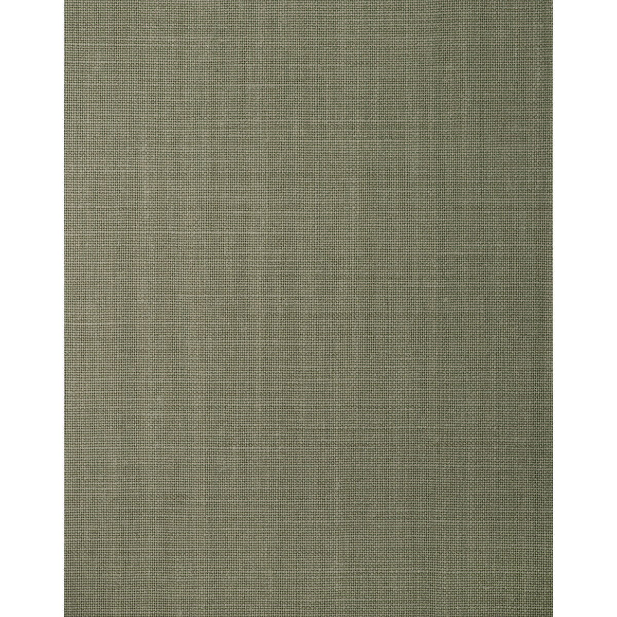 wft1682wt0-balen-olivene-winfield-thybony