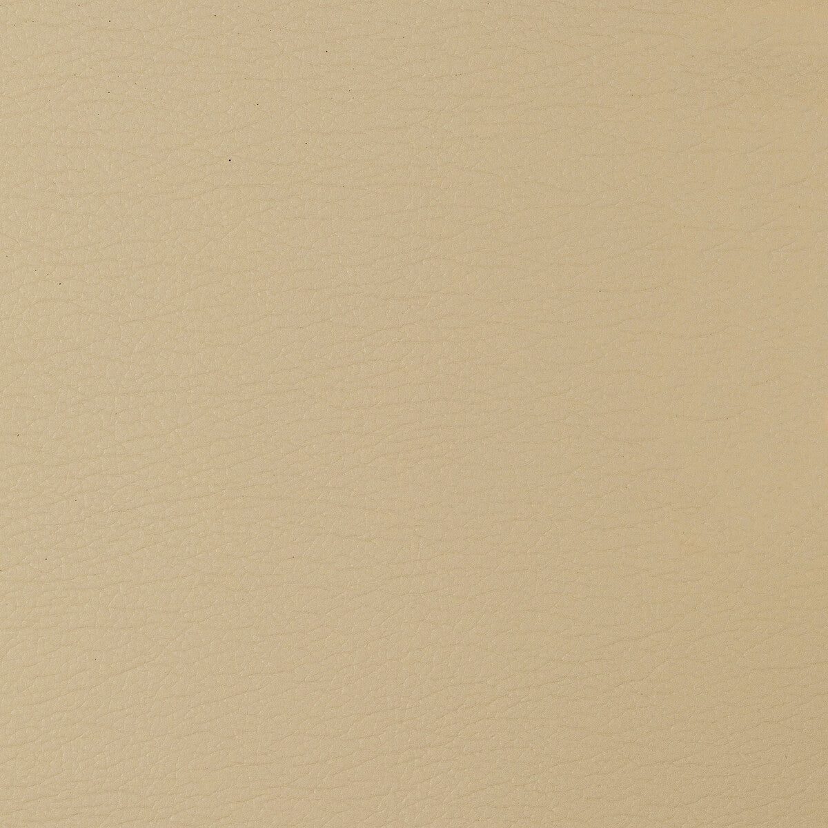 gato16160-kravet-design-gato-1616-kravet-design