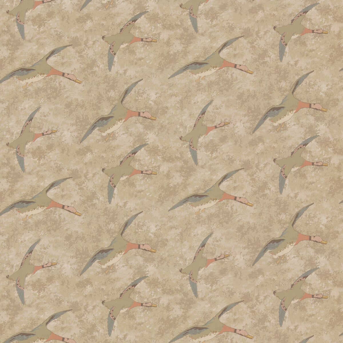 fd2026j1070-forest-ducks-parchment-mulberry