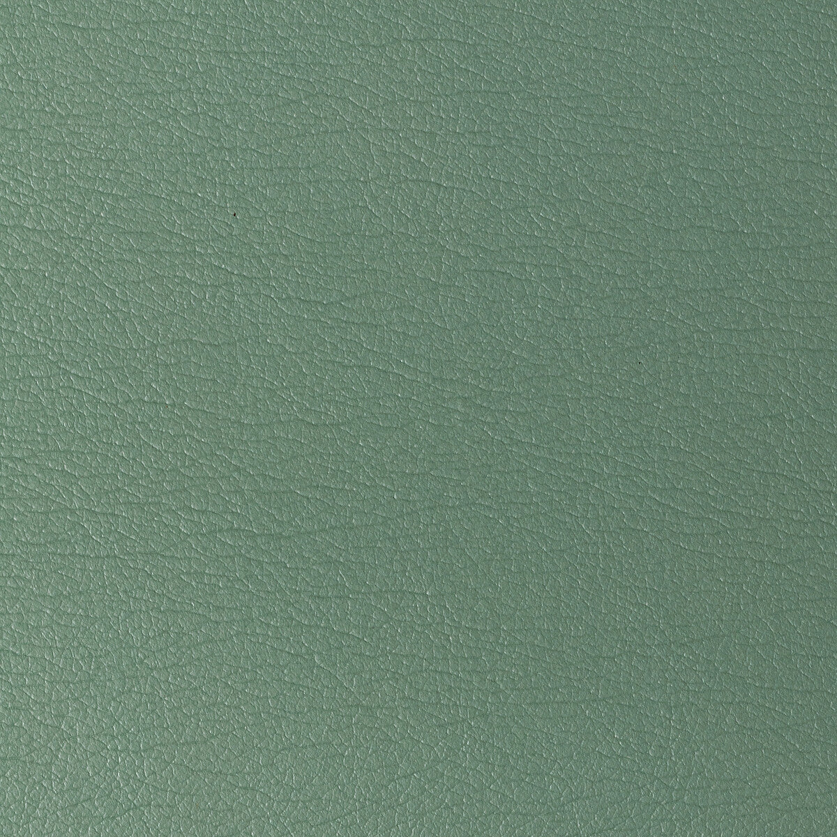 gato3230-kravet-design-gato-323-kravet-design