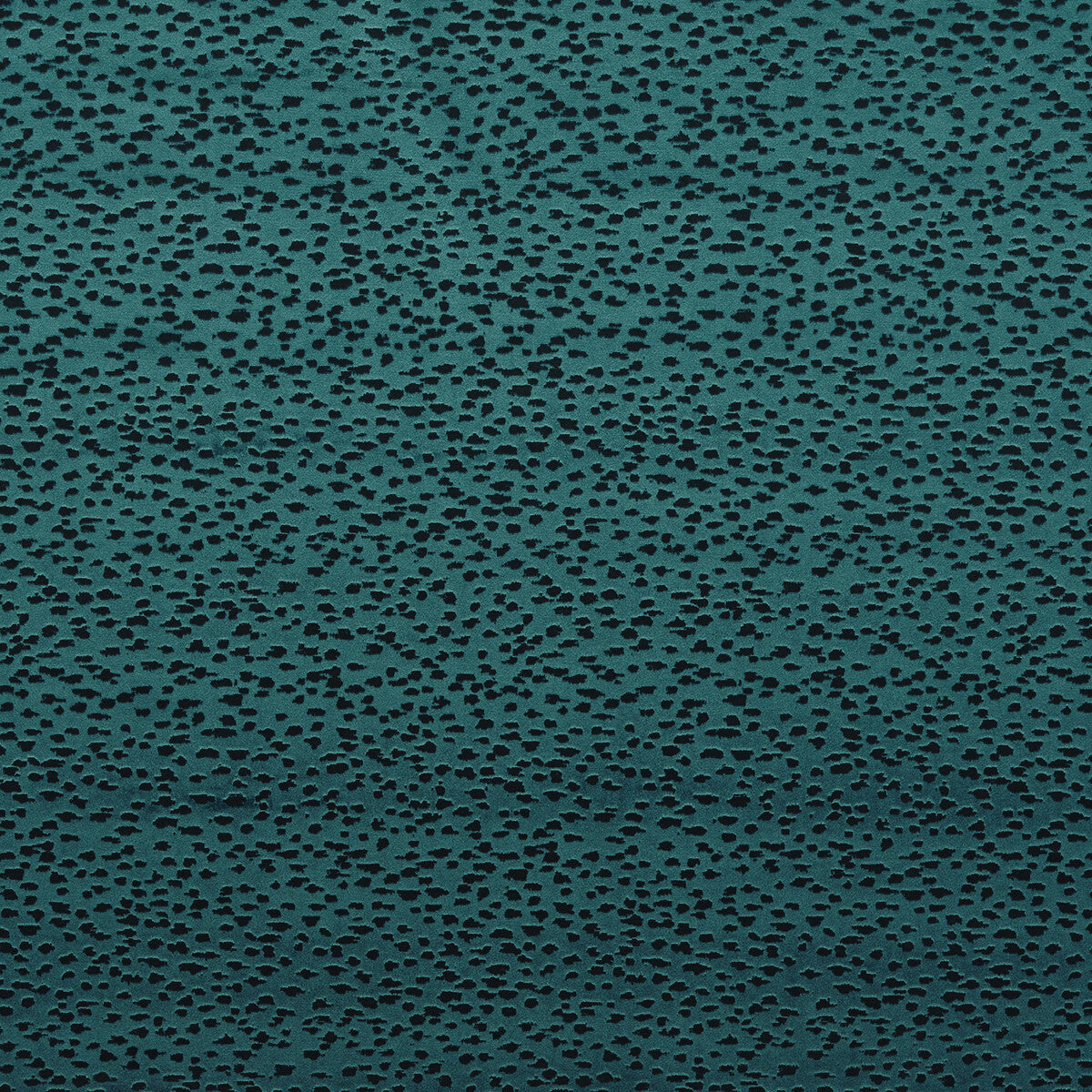 f156405cac0-astral-peacock-clarke-and-clarke