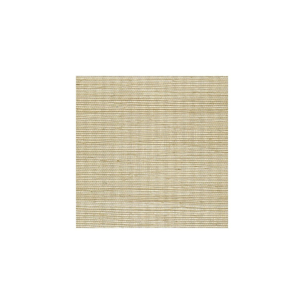 wss4510wt0-metallic-sisal-silvery-beige-winfield-thybony