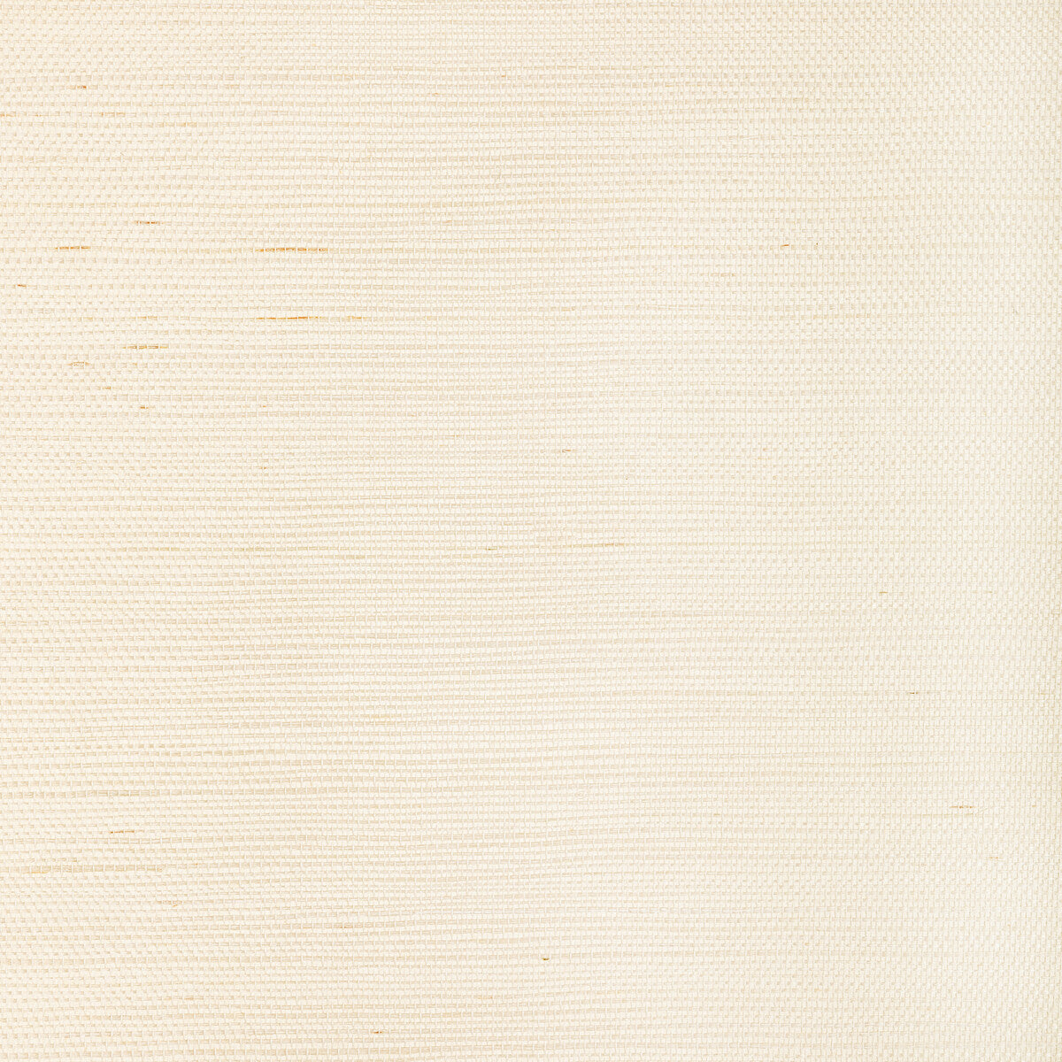 w383010-luxe-sisal-bone-kravet-couture - KRAVET COUTURE Wallpaper