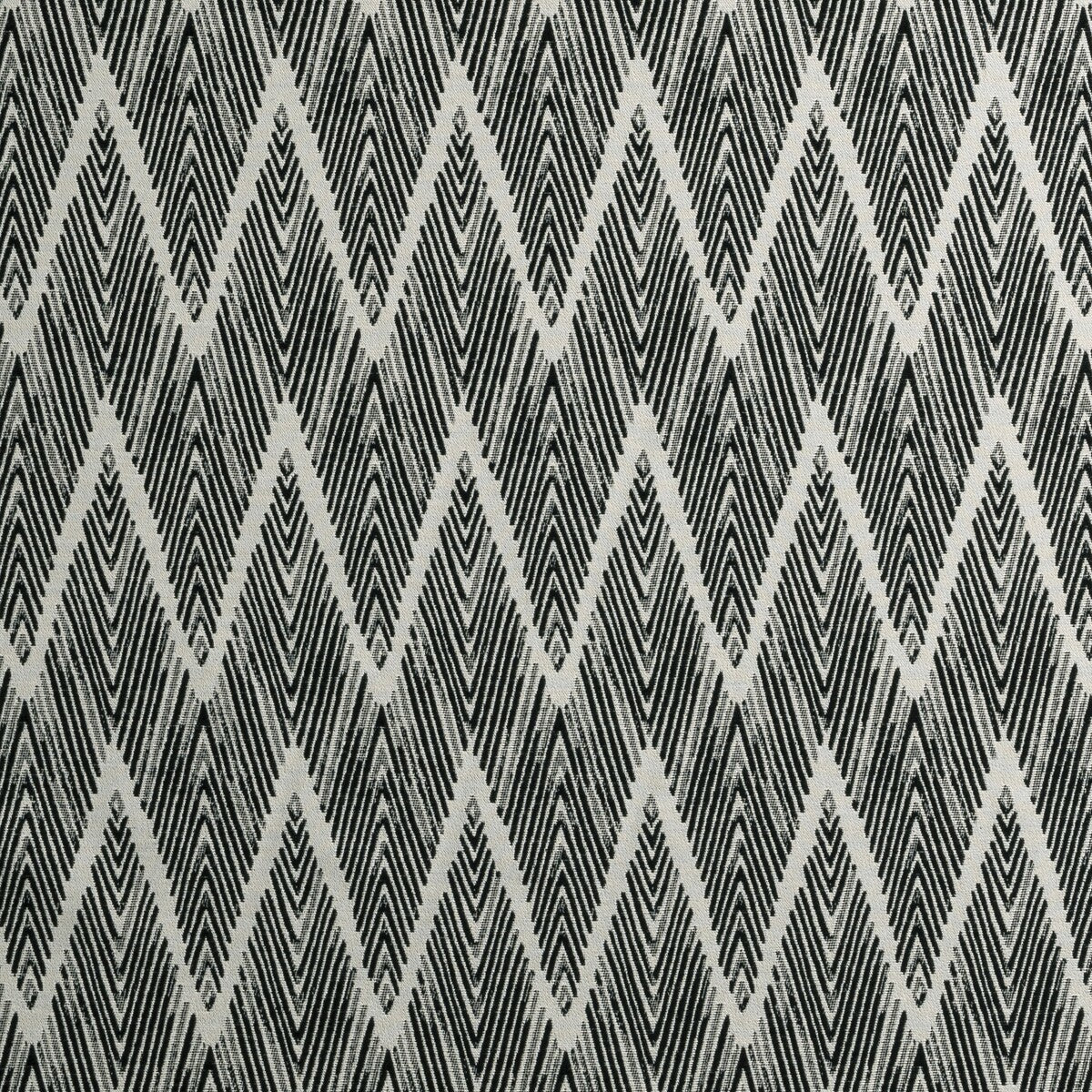 f089501cac0-bw1022-blackwhite-clarke-and-clarke - CLARKE AND CLARKE Fabric