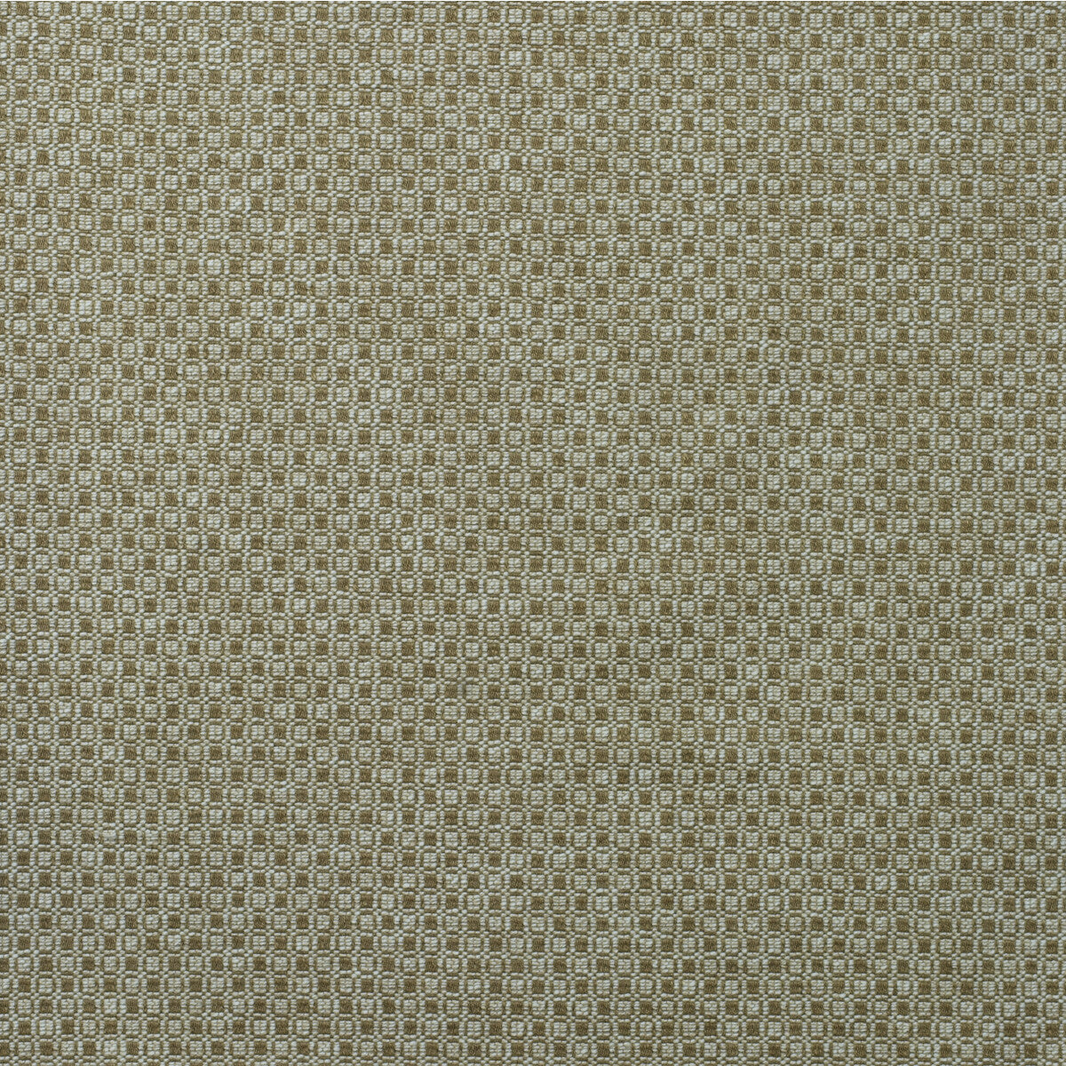 am1004404160-captain-hessian-kravet-couture
