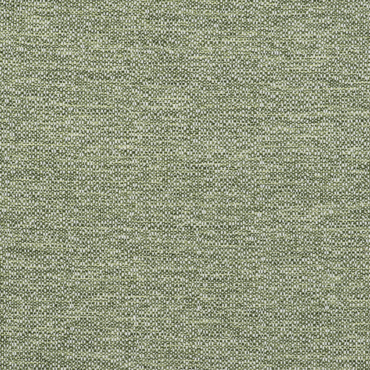 gdt55080050-in-verde-gaston-y-daniela