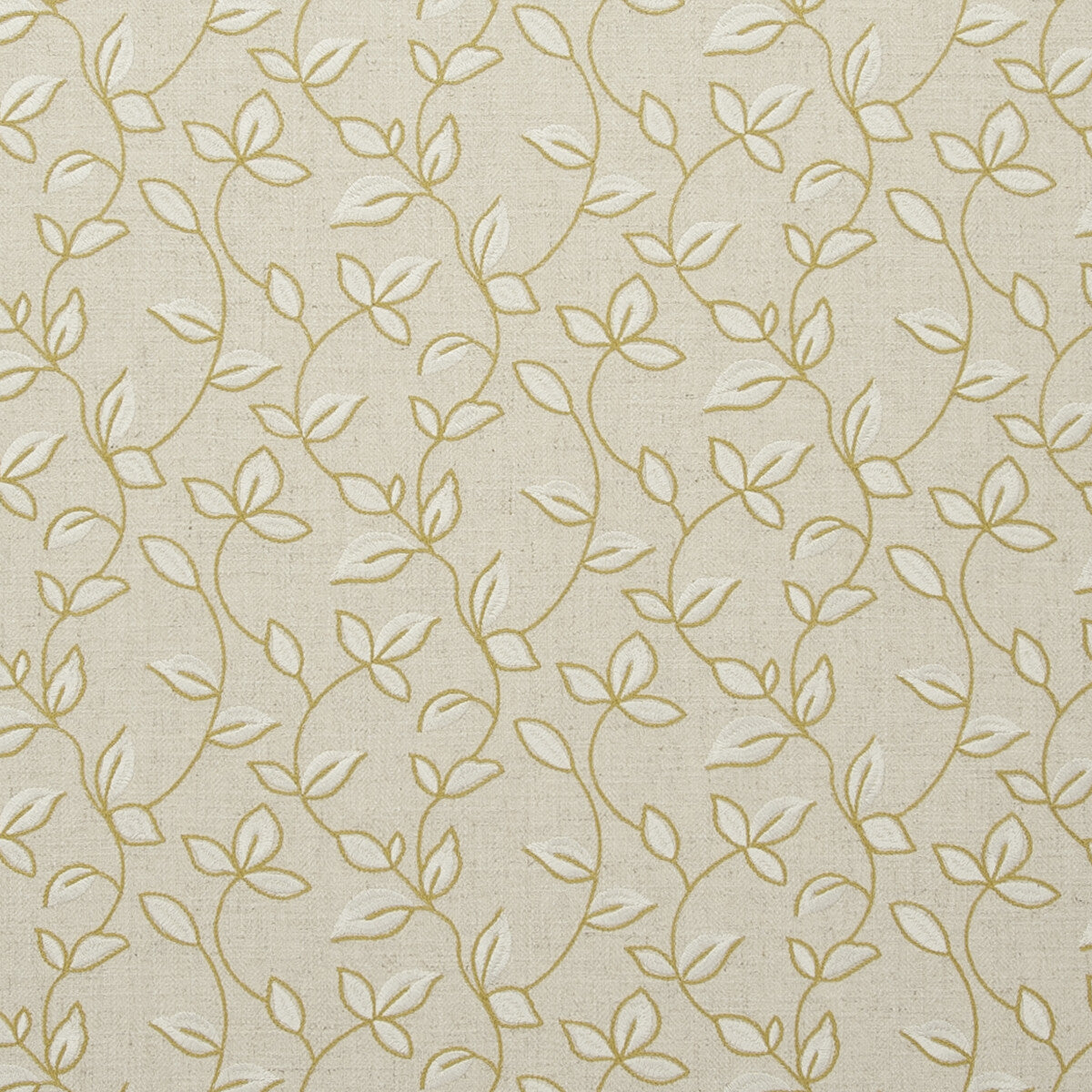f073401cac0-chartwell-acacia-clarke-and-clarke - CLARKE AND CLARKE Fabric