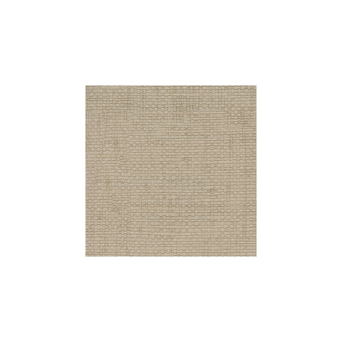 wpw1101wt0-mura-driftwood-winfield-thybony - WINFIELD THYBONY Wallpaper
