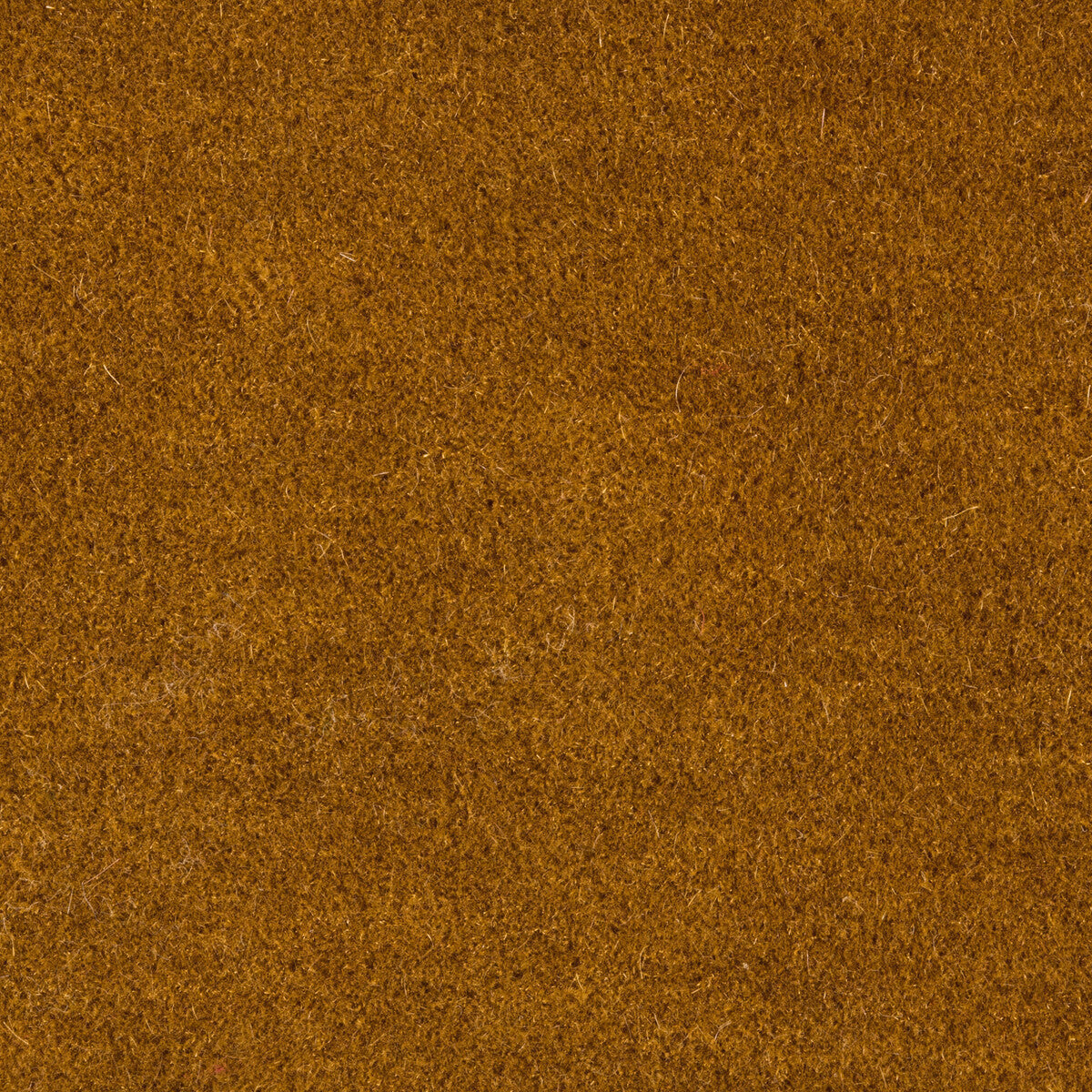 801410140-bachelor-mohair-ochre-brunschwig-fils