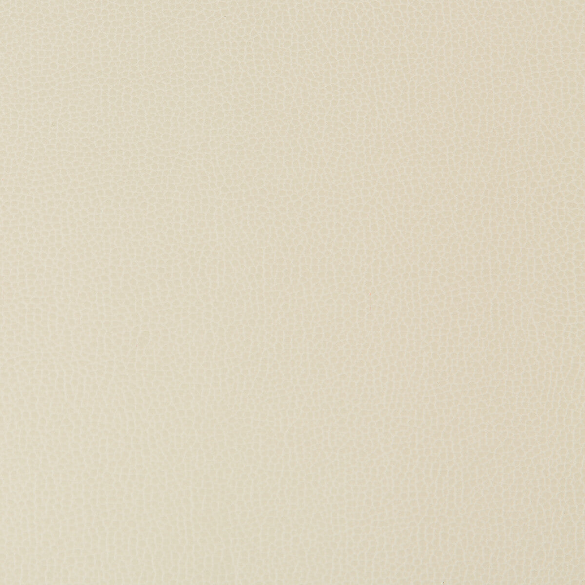 lenox160-lenox-stone-kravet-contract