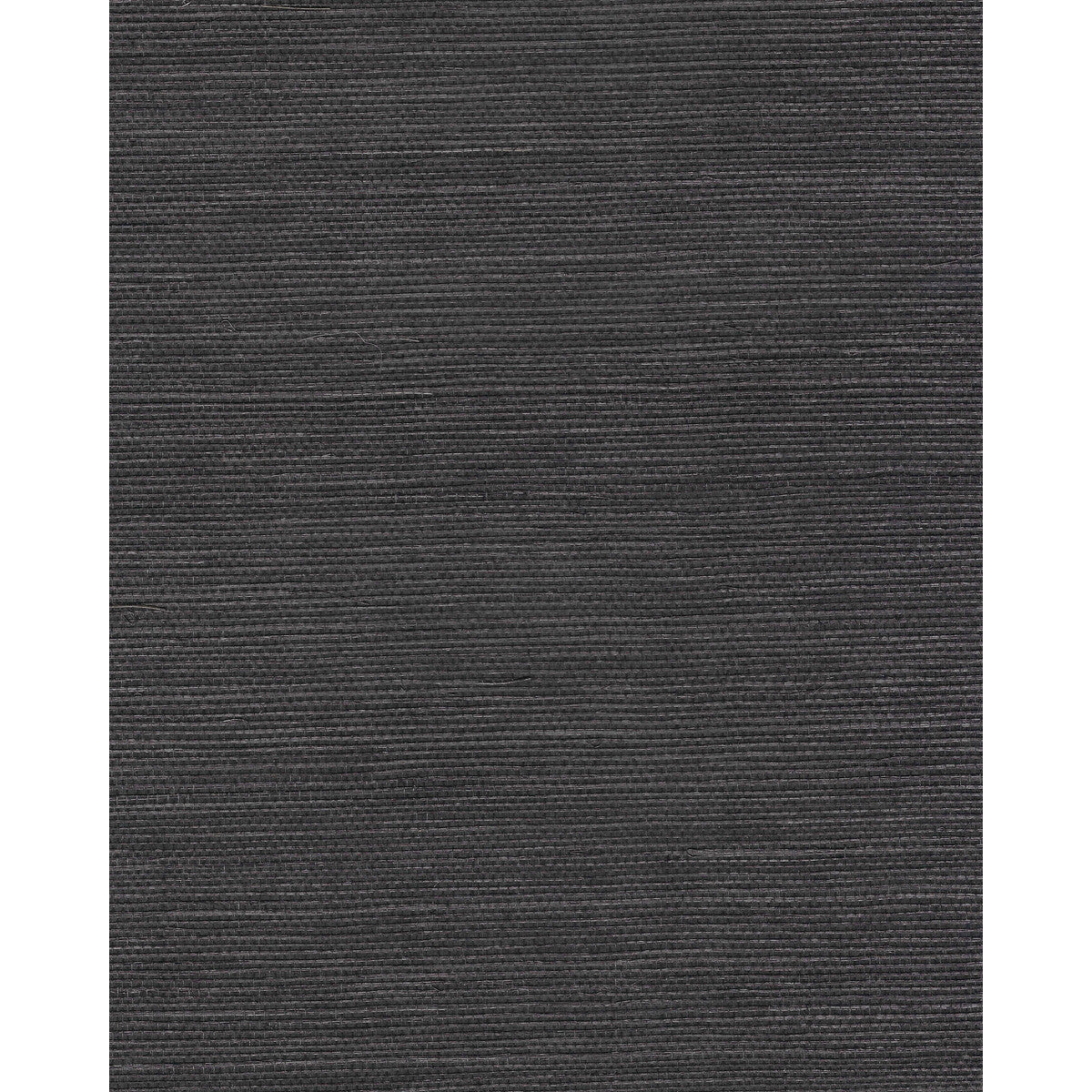 wnr2092pwt0-chiyo-sisal-blackp-winfield-thybony - WINFIELD THYBONY Wallpaper
