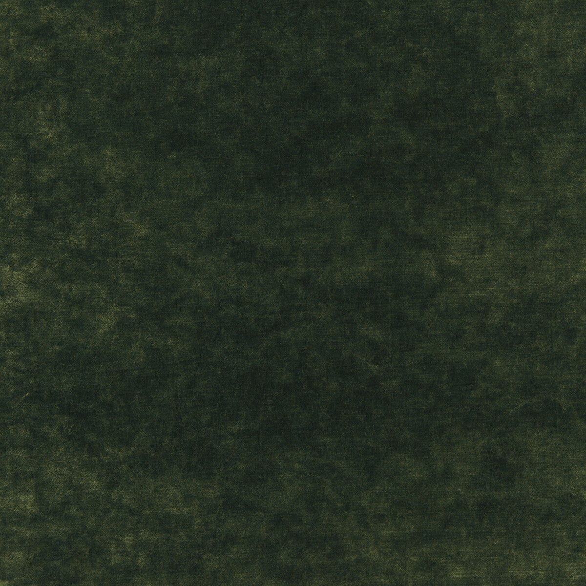 347817850-queens-velvet-emerald-kravet-couture - KRAVET COUTURE Fabric
