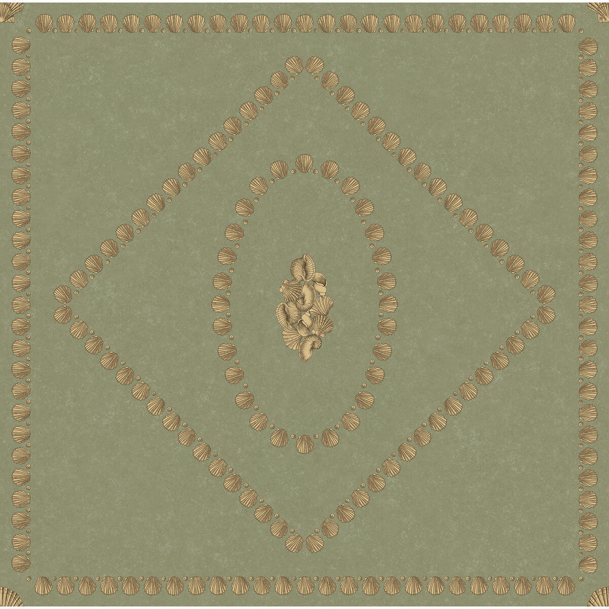 1235026cs0-conchiglie-ivy-cole-son