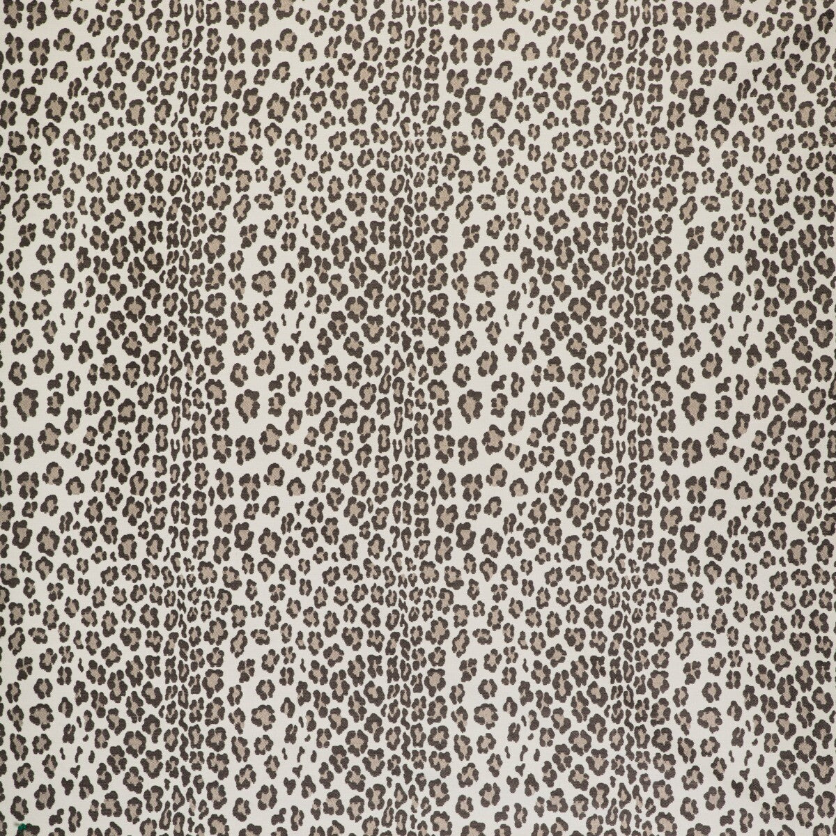 gdt55150020-leopardo-marron-gaston-y-daniela
