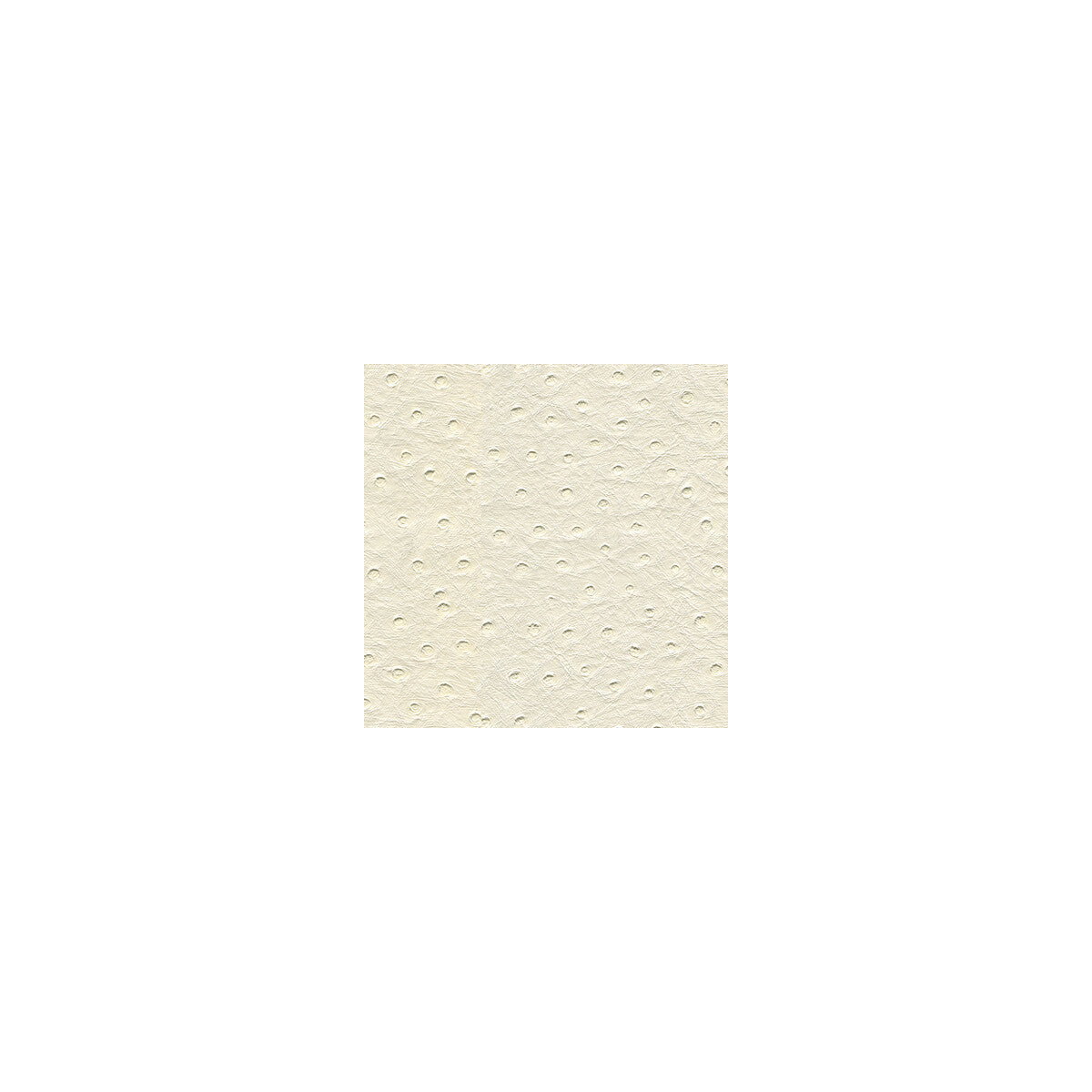 senna1010-kravet-design-senna-101-kravet-design