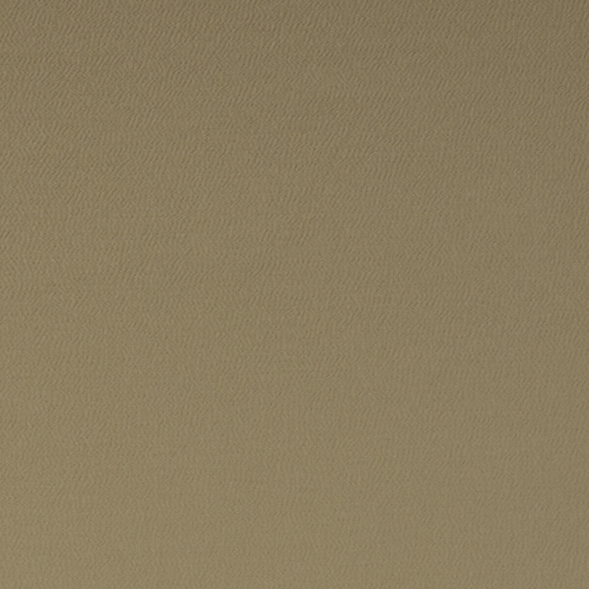 f106229cac0-spectrum-pecan-clarke-and-clarke - CLARKE AND CLARKE Fabric