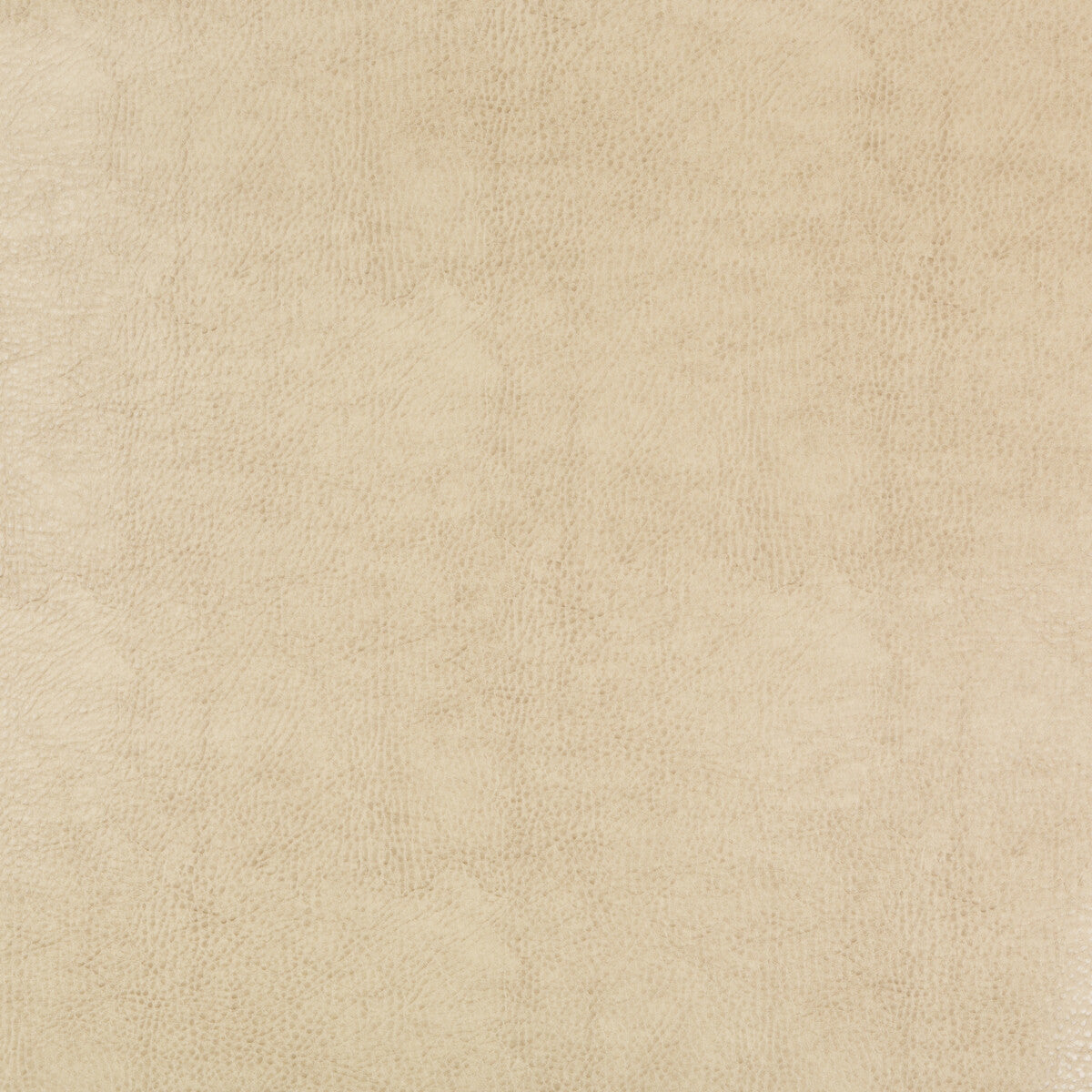 beholder1160-kravet-design-beholder-116-kravet-design