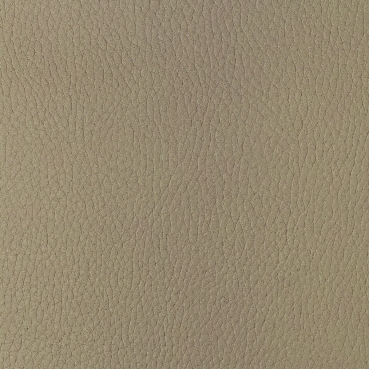sugarmaple160-kravet-design-sugarmaple-16-kravet-design