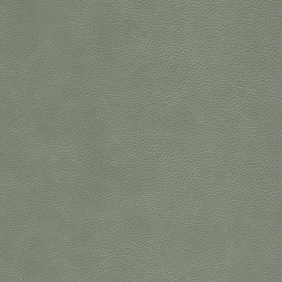 l-cimarronelephant0-kravet-design-l-cimarron-elephant-kravet-design