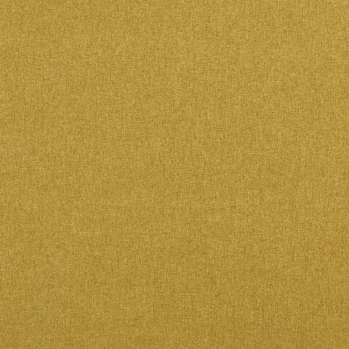 f084815cac0-highlander-gold-clarke-and-clarke - CLARKE AND CLARKE Fabric