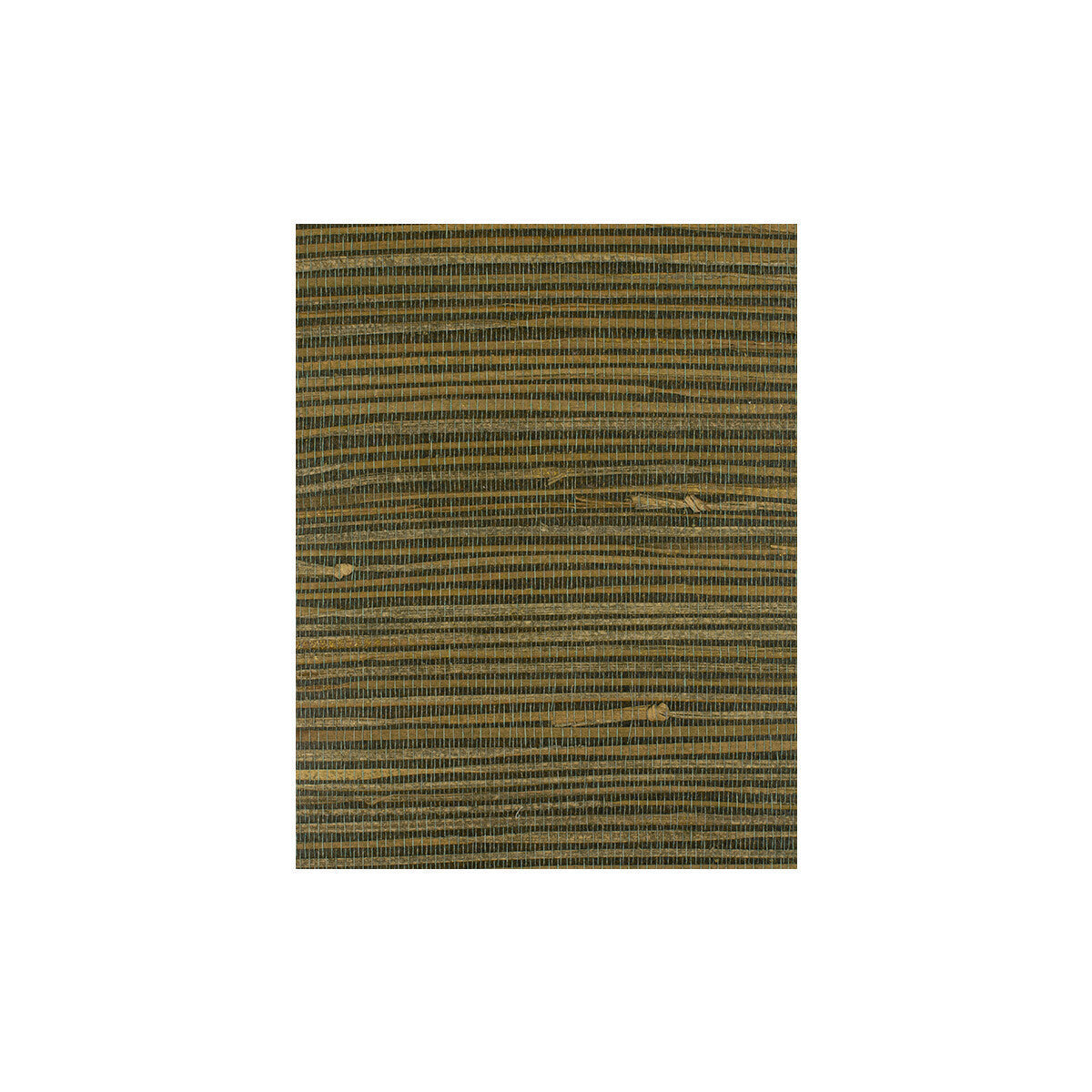 wiw2564wt0-corenwall-tigers-eye-winfield-thybony - WINFIELD THYBONY Wallpaper