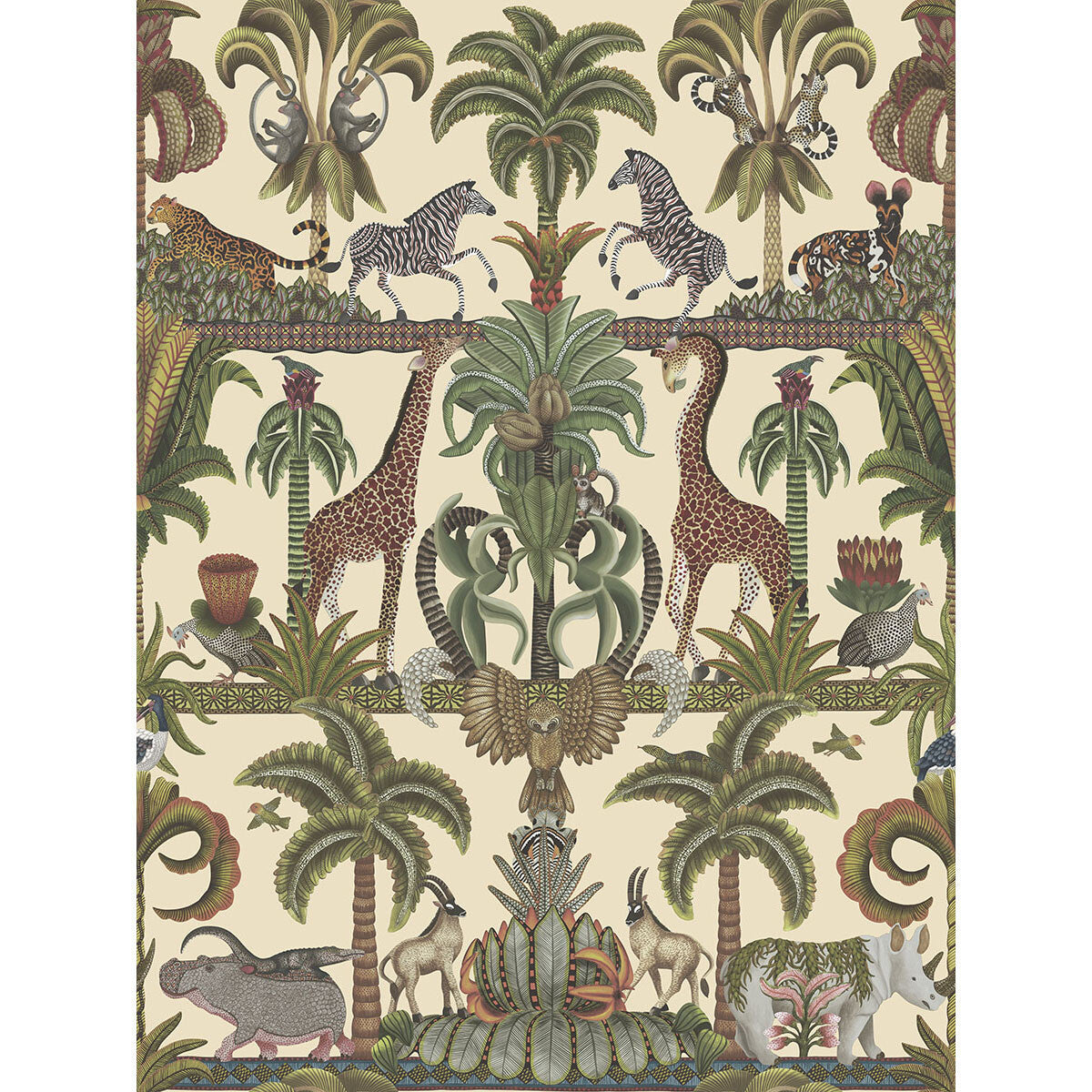 1195026cs0-afrika-kingdom-olgreen-spgreencream-cole-son