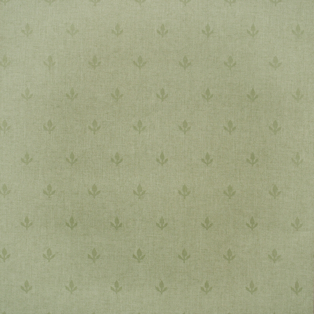 amw1007730-crocus-leaf-kravet-couture