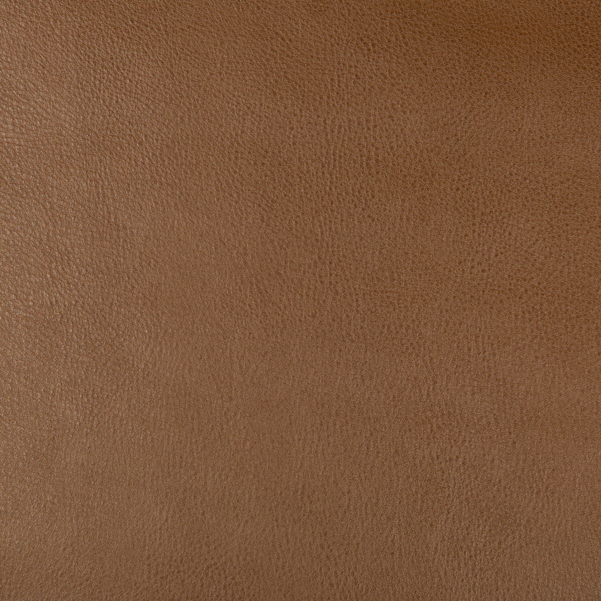 dust60-kravet-design-dust-6-kravet-design - KRAVET DESIGN Fabric
