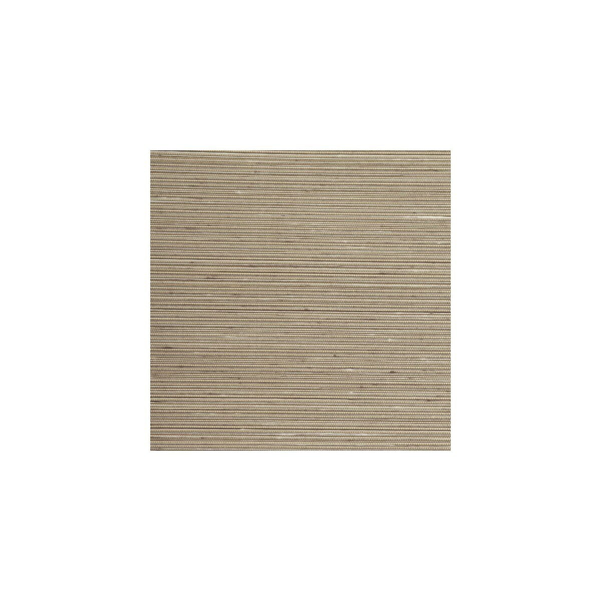 wsw4885wt0-winfield-thybony-wsw4885-wt-winfield-thybony