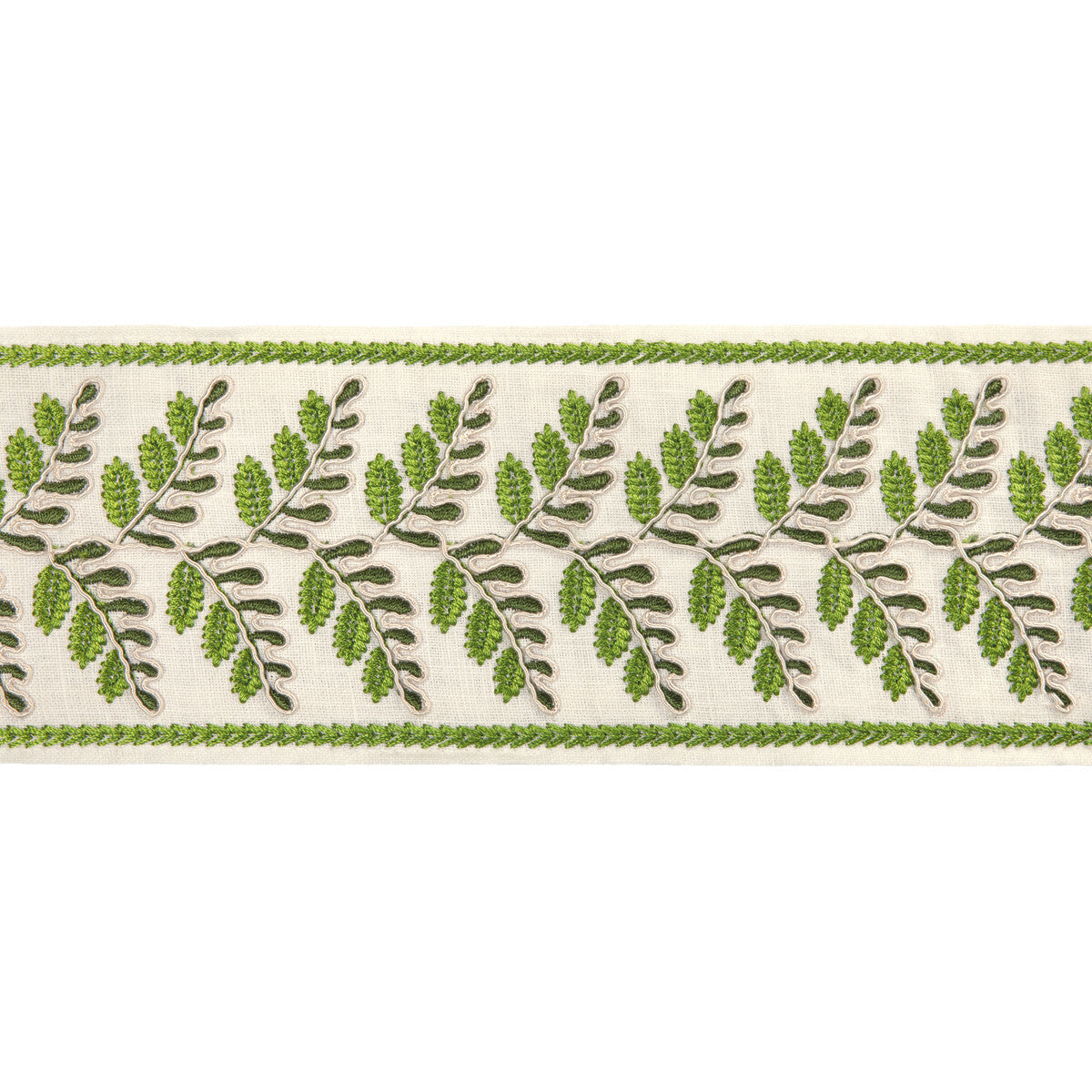 t802410030-fougere-border-leaf-brunschwig-fils