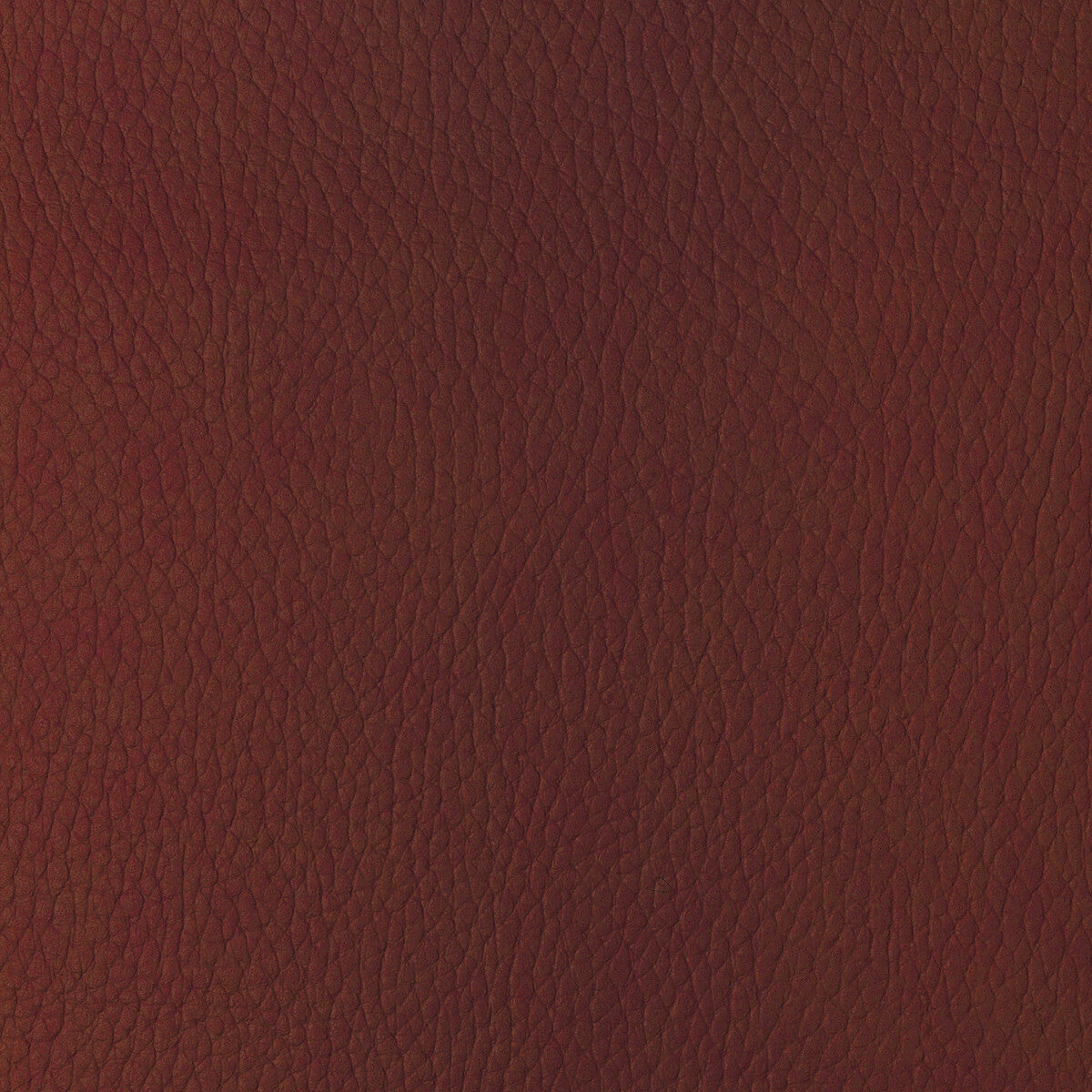 sugarmaple190-kravet-design-sugarmaple-19-kravet-design