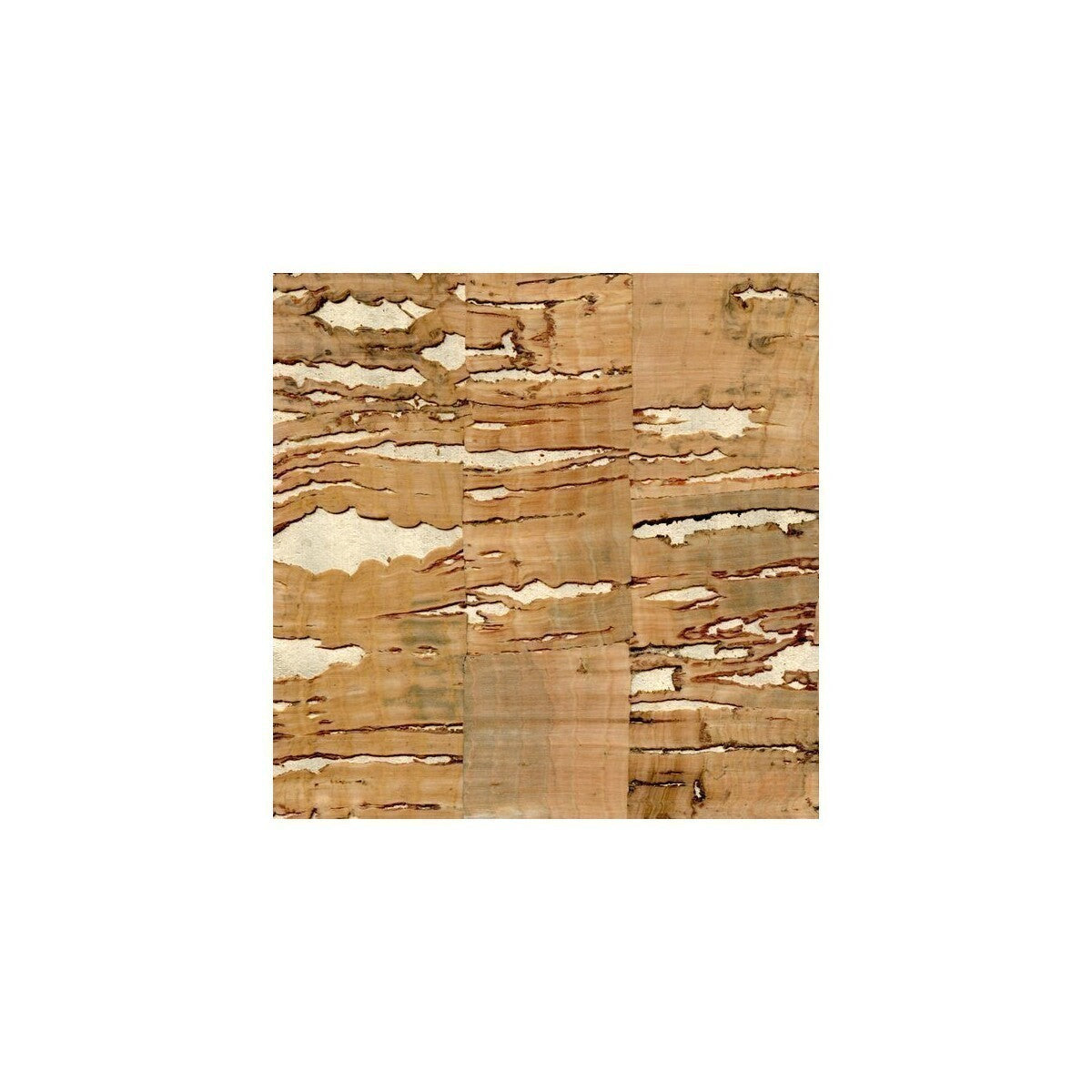 wnr1122wt0-gaudi-winfield-thybony