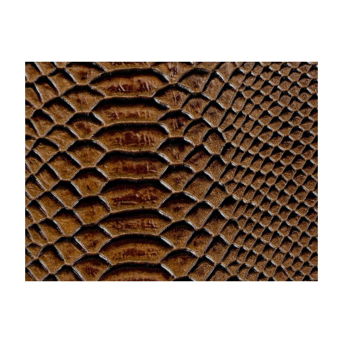 l-berlintoast0-l-berlin-toast-kravet-couture