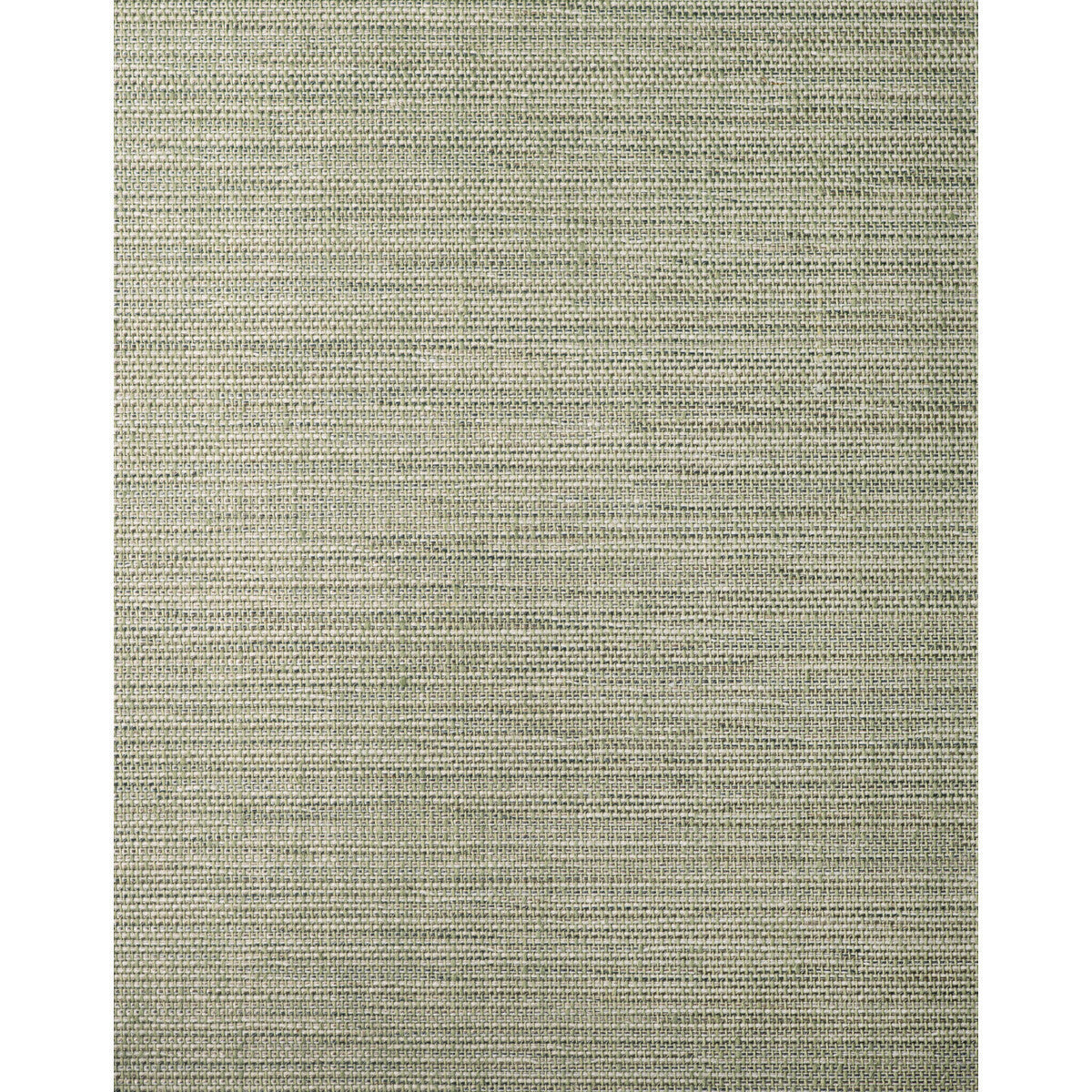 wft1606wt0-kimit-sage-winfield-thybony - WINFIELD THYBONY Wallpaper