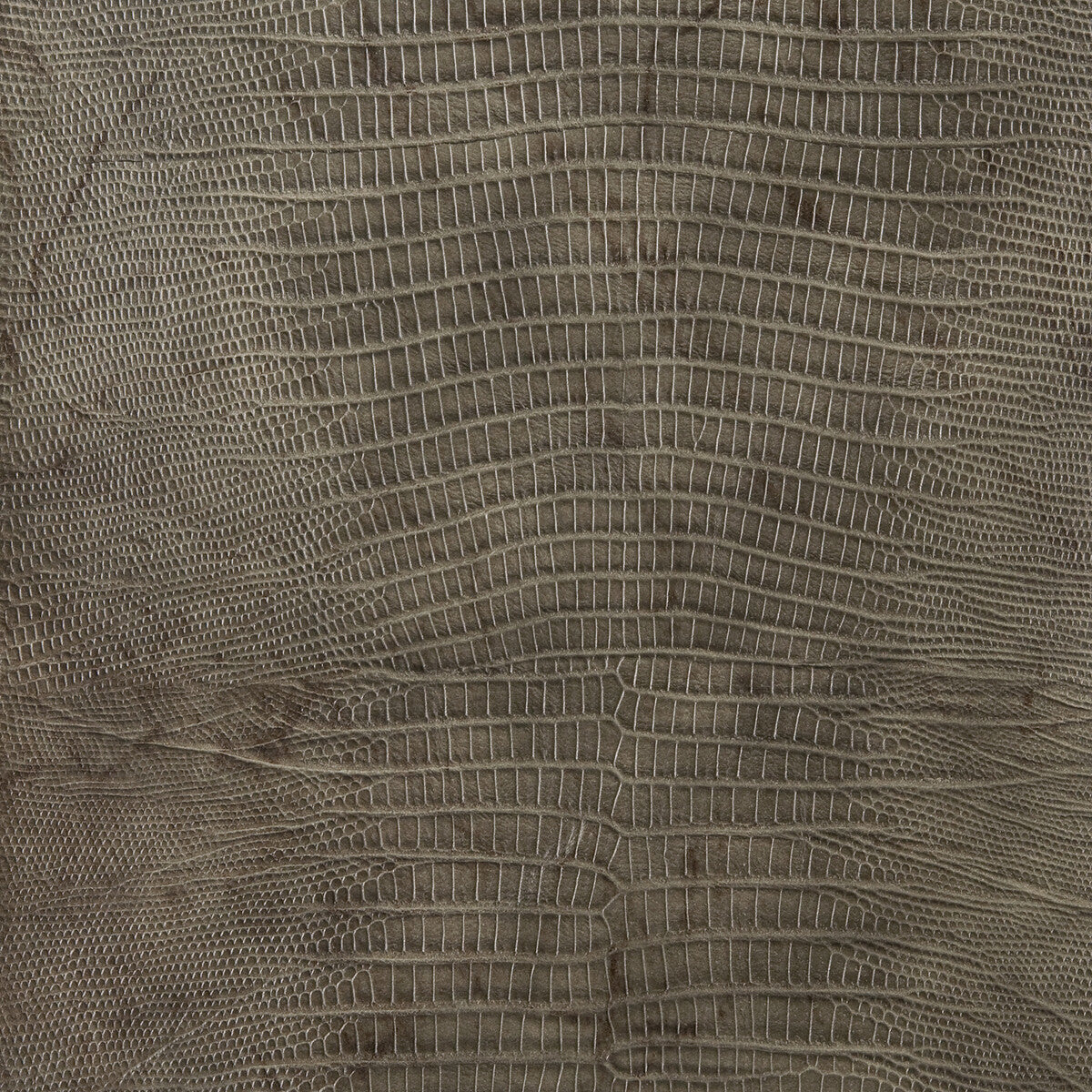 namaqua210-kravet-design-namaqua-21-kravet-design